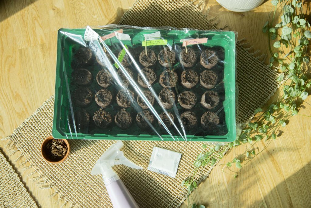 Samen aussäen: Anleitung zur Aussaat